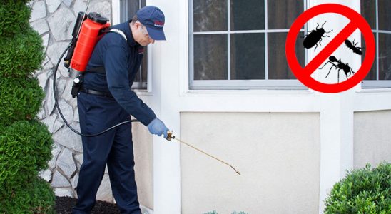 Yenişehir Böcek İlaçlama böcek ilaçlama ve haşere kontrolü — ilaclama-tr.com